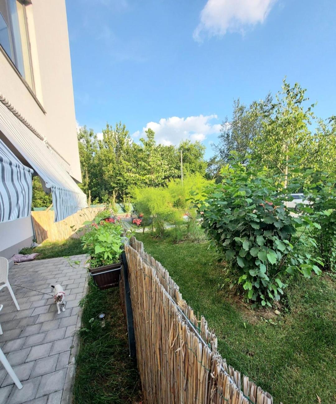 Apartment Atria Urban Bucharest